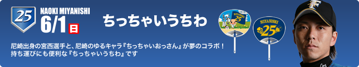 media_campaign_20140601